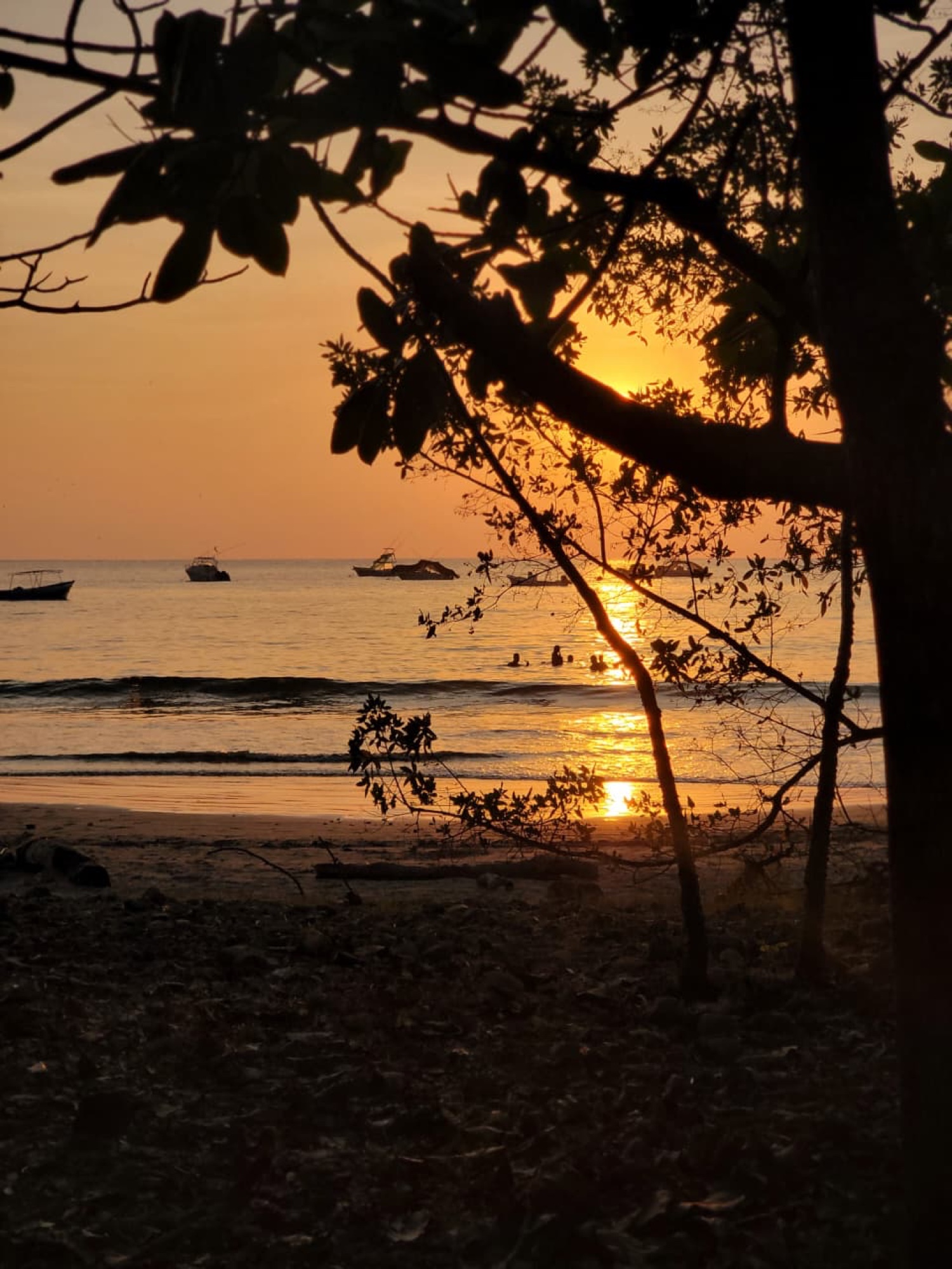 Sunset Tour